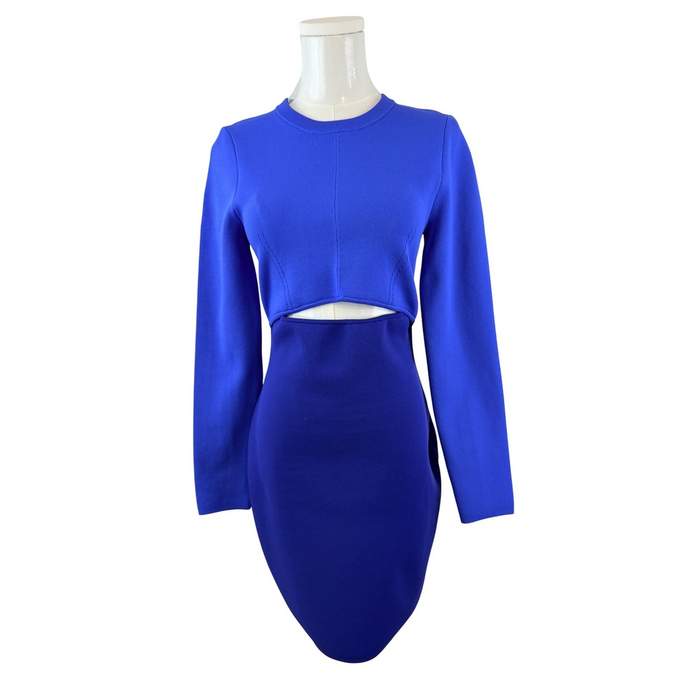 Chic Bodycon Express Colorblock Cutout Long Sleeve Mini Dress Royal Blue S